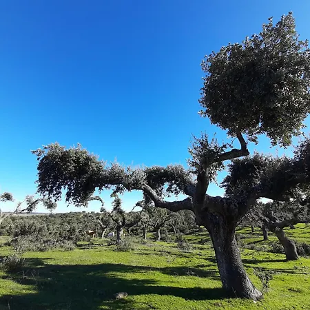 Lejlighed Banos De Ledesma