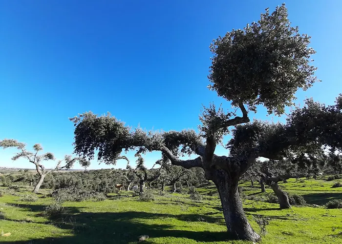 Apartament Banos De Ledesma